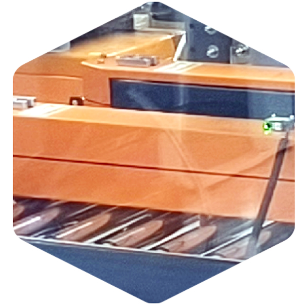 Automatic Flap-Folding Case Sealer