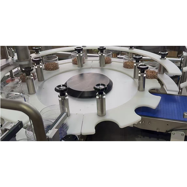 SW60 Rotary Indexing Filling Machine