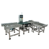 SW Large-Capacity Weight Sorting Machine