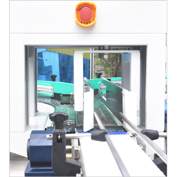 Integrated Robotic Cartoning Line